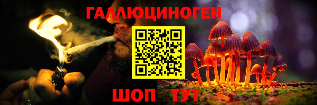 Псилоцибиновые грибы мицелий  Псилоцибиновые грибы GOLDEN TEACHER  Глазов  Вход с VPN 